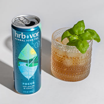 FOCUS |4-PACK | TULSI (HOLY BASIL), GUAYUSA, SAGE