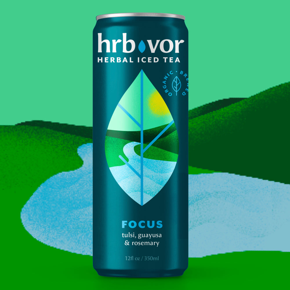 FOCUS | Herbal Iced Tea | Tulsi, Guayusa & Rosemary | 12oz | Case of 4