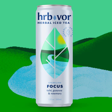 FOCUS | Sparkling Herbal Iced Tea | Tulsi, Guayusa & Rosemary | 12oz | Case of 4